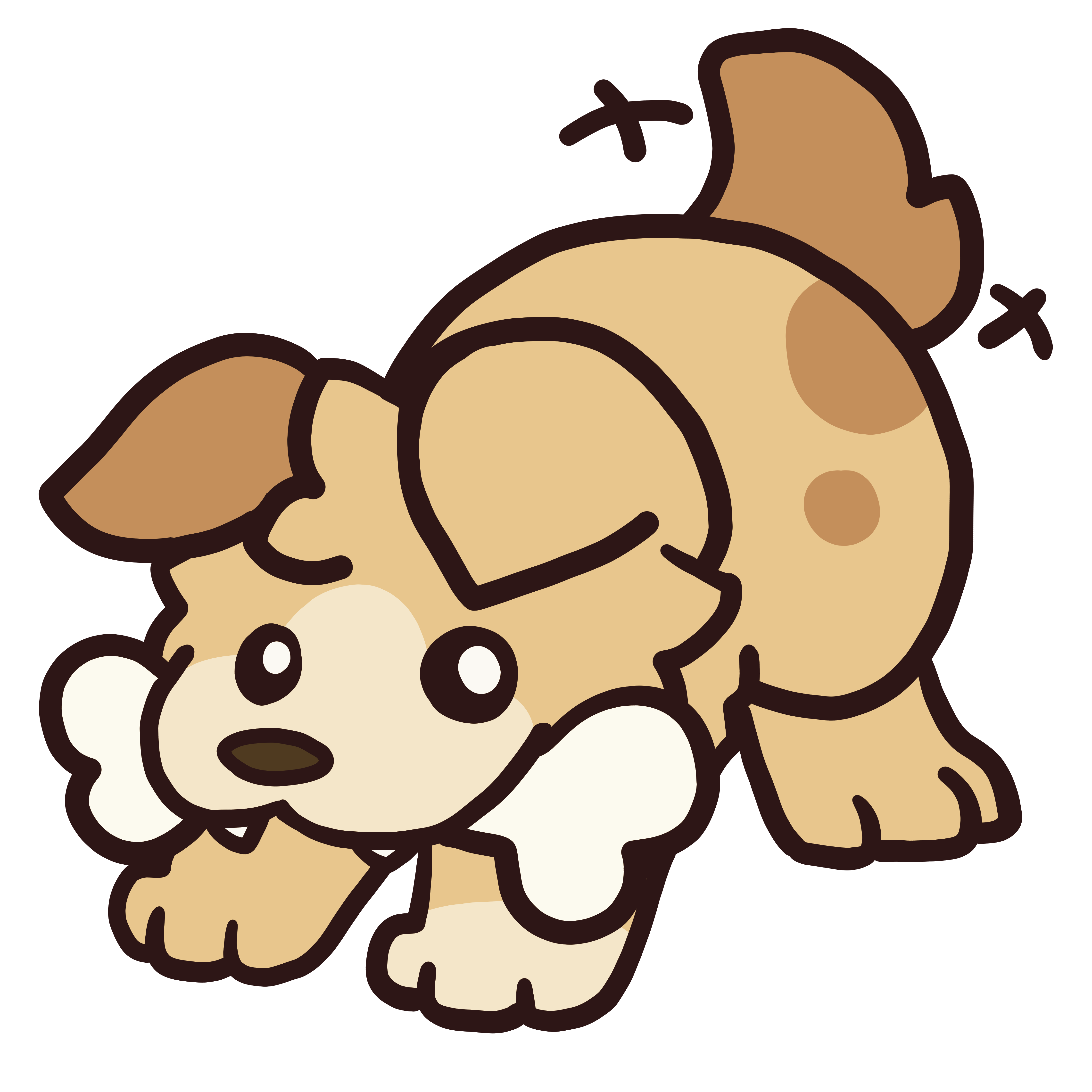 Playful Puppy