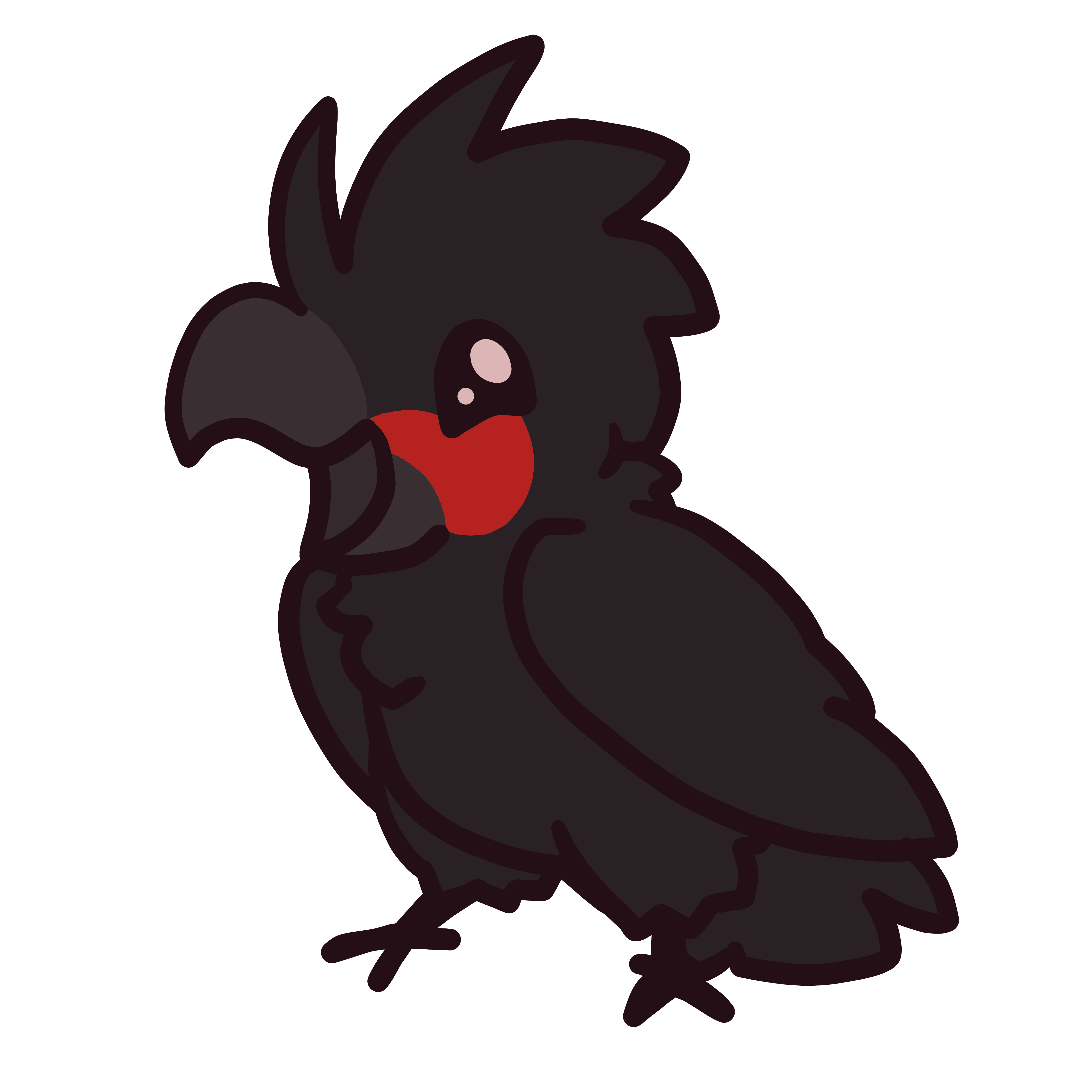 Palm Cockatoo