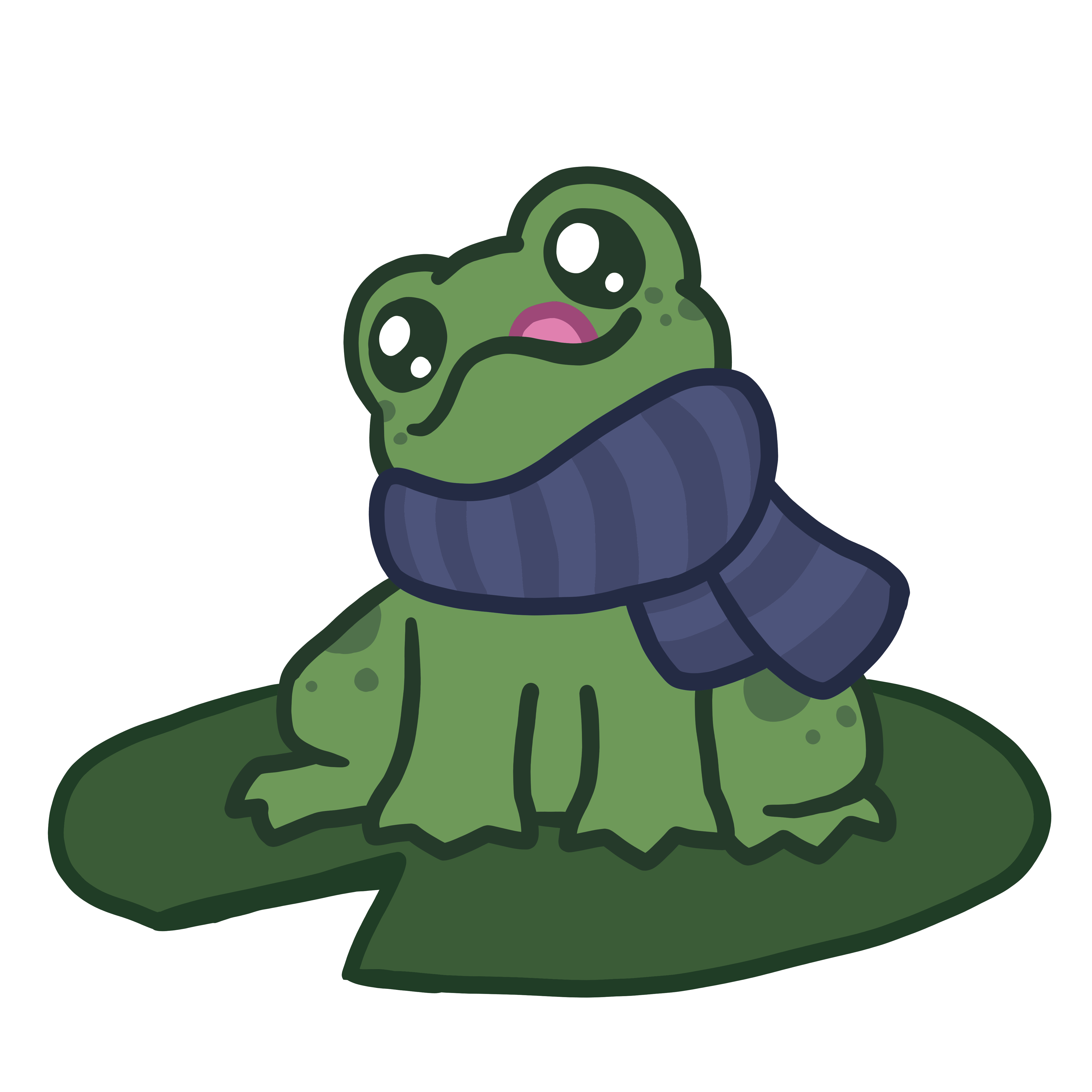 Scarf Frog