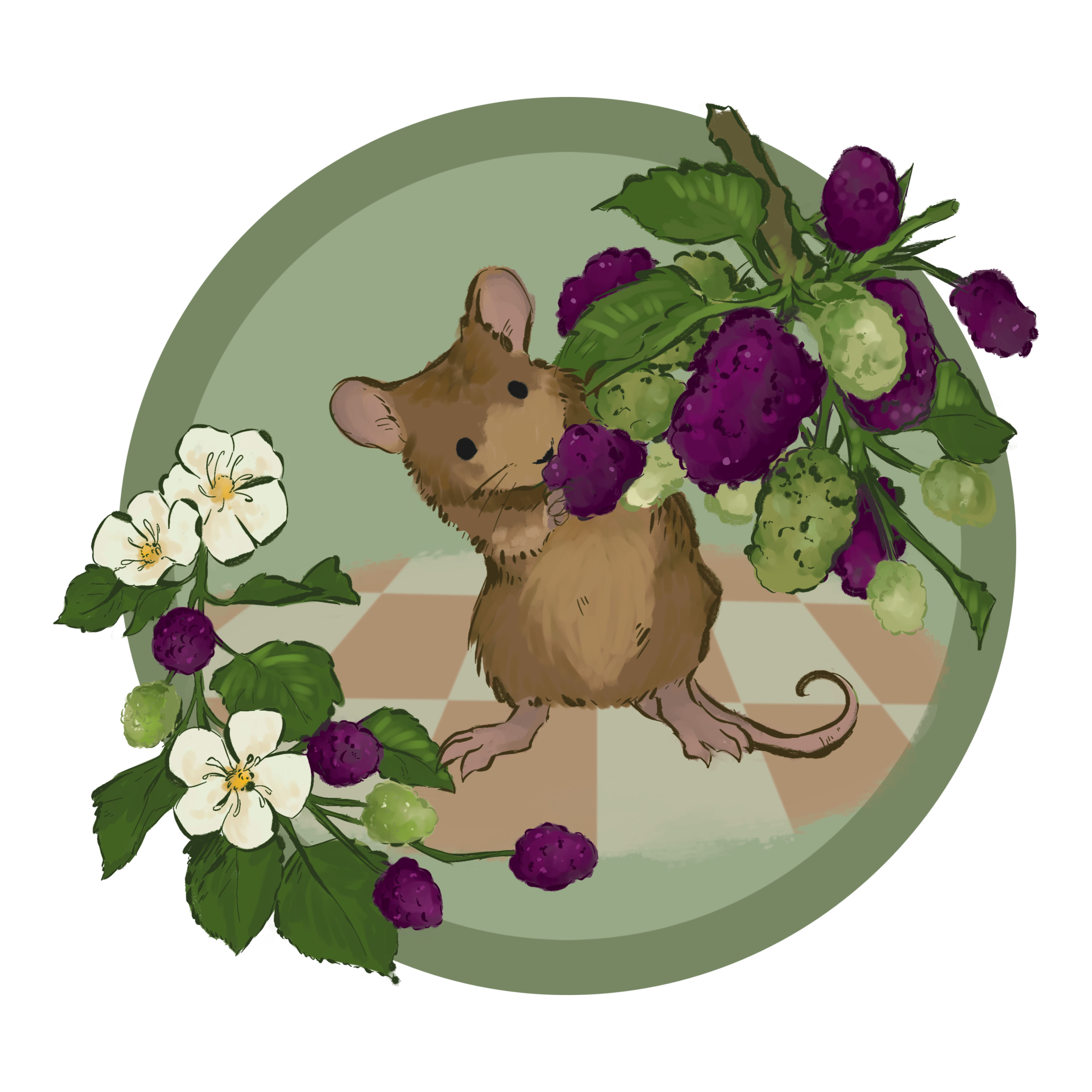 Mulberry mouse